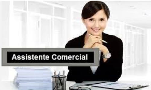 Assistente Comercial