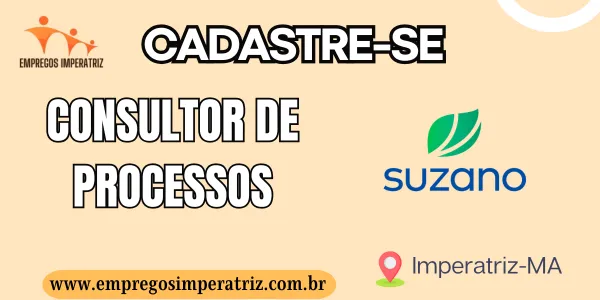 Vaga de emprego para Consultor de processos Suzano Imperatriz